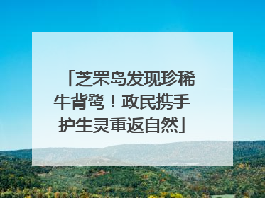 芝罘岛发现珍稀牛背鹭！政民携手护生灵重返自然